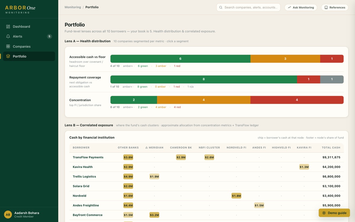 Portfolio view: health distribution bars across ten borrowers, and a cash-by-financial-institution matrix with borrowers as rows and institutions as columns, flagging a shared counterparty